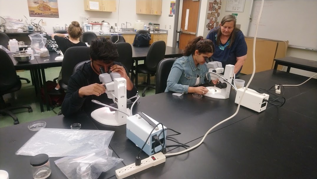 University Co-op / Internship Program